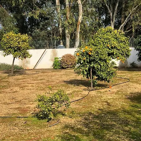 Hébergement de vacances Quinta Albufeira
