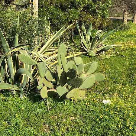 بيت للعطل Quinta