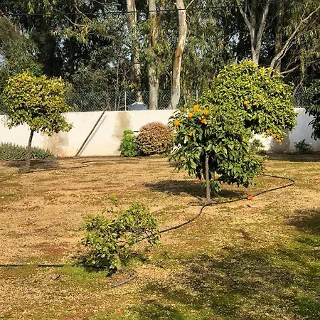 Holiday home Quinta Albufeira