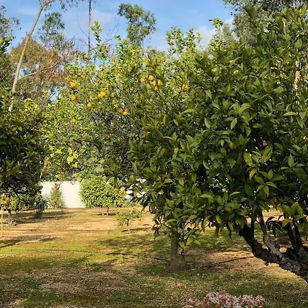 Quinta Сasa de vacaciones