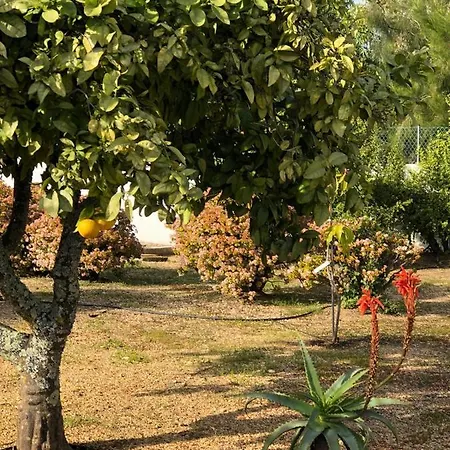 Сasa de vacaciones Quinta *