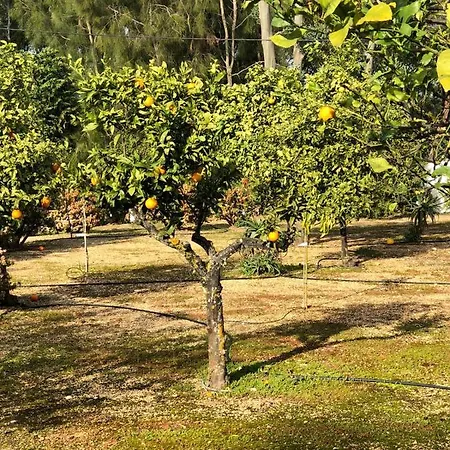 Quinta Сasa de vacaciones Albufeira